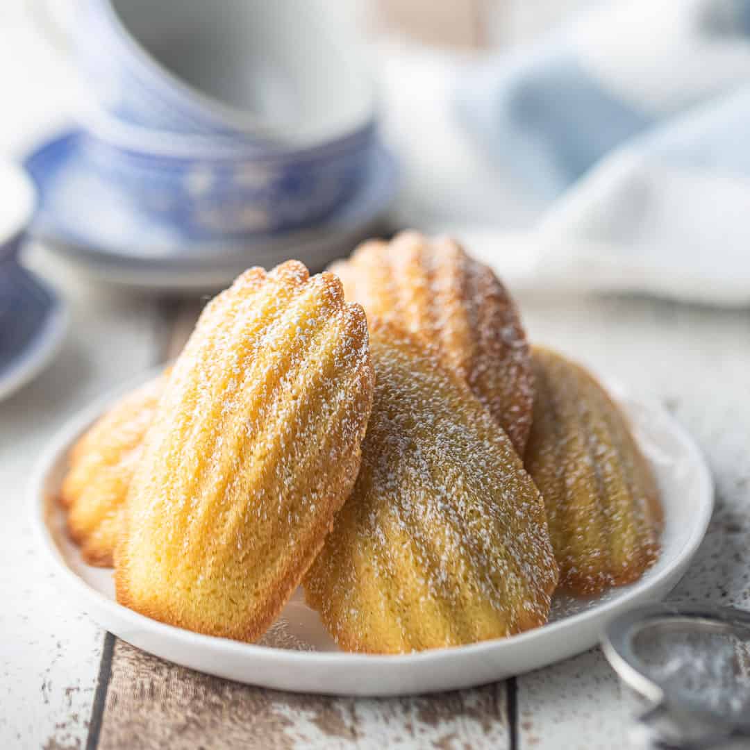 Mini Madeleines with Powdered Sugar